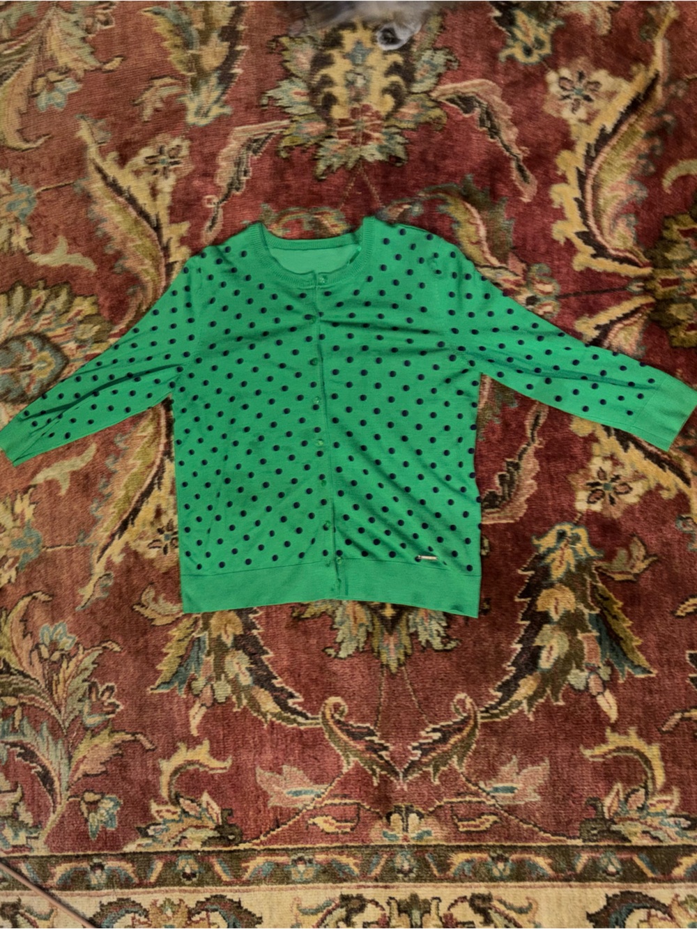 Ellen Tracy Green Long Sleeve Top with Black Polka Dots